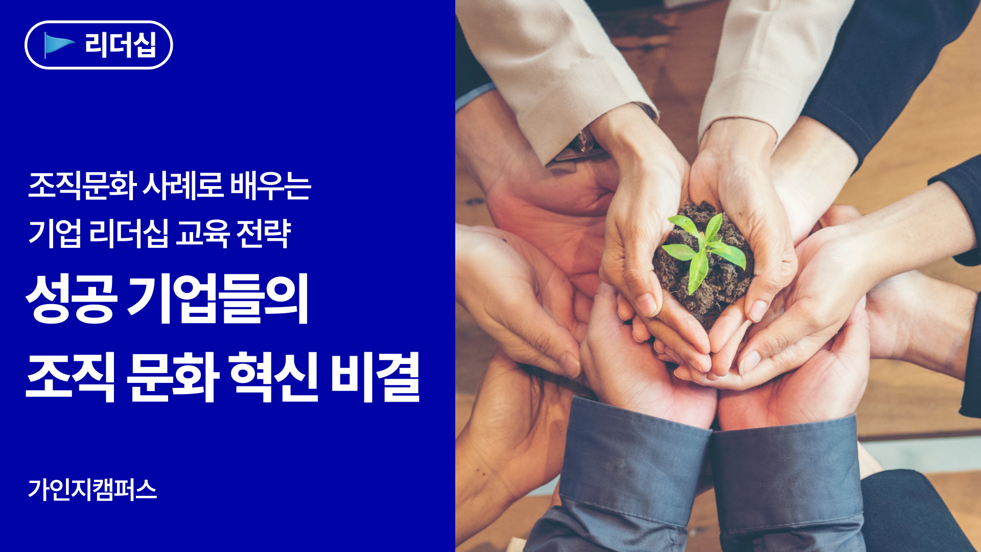 기업 리더십 교육, 조직문화 바꾼 진짜 사례를 공개합니다